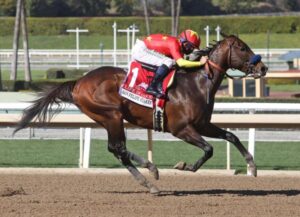 Life is Good Kentucky Derby Favorite