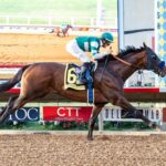 Place Horse Racing Bets