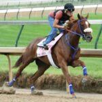 Run Classic Derby Betting Lines