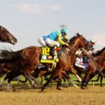 Updated Kentucky Derby Favorites