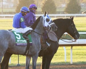 Essential Quality Kentucky Derby Favorite