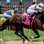 Kentucky Derby Betting Online 147