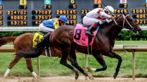 Kentucky Derby Betting Online 147