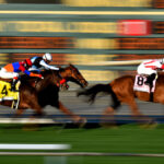 Bet On Kentucky Derby 2022