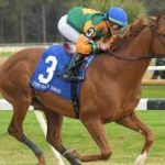 Classic Causeway Kentucky Derby