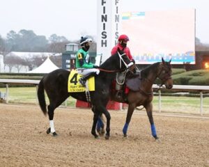 Un Ojo Kentucky Derby 2022 Odds