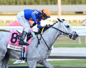 White Abarrio Kentucky Derby 2022 Bets