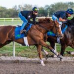 Classic Causeway Kentucky Derby Betting 2022